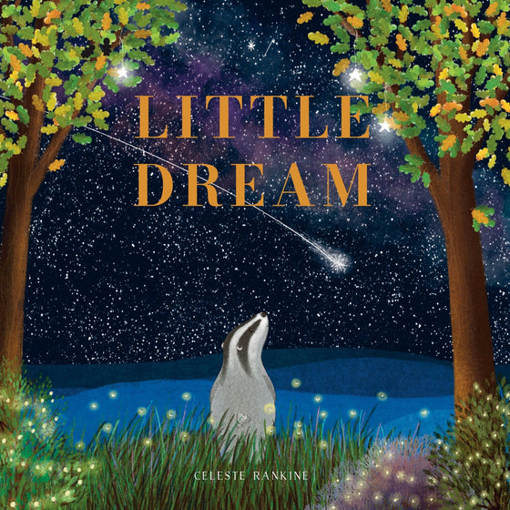 'Little Dream' - Children's Book